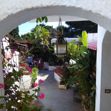 Le Case Di Vito Favignana Exterior foto
