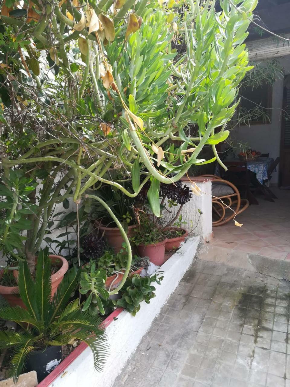 Le Case Di Vito Favignana Exterior foto